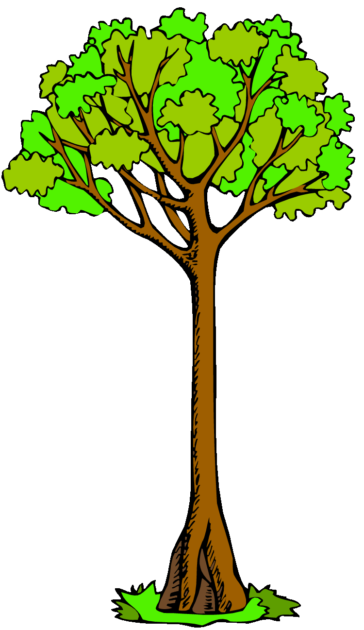 750x1297 Blank Family Tree Clip Art Family Tree Clipart By