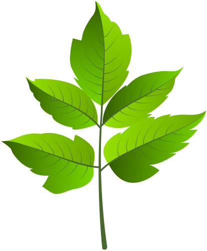 414x500 Leaf Green Png Clip Ar Clip Art Leaves And Clip Art