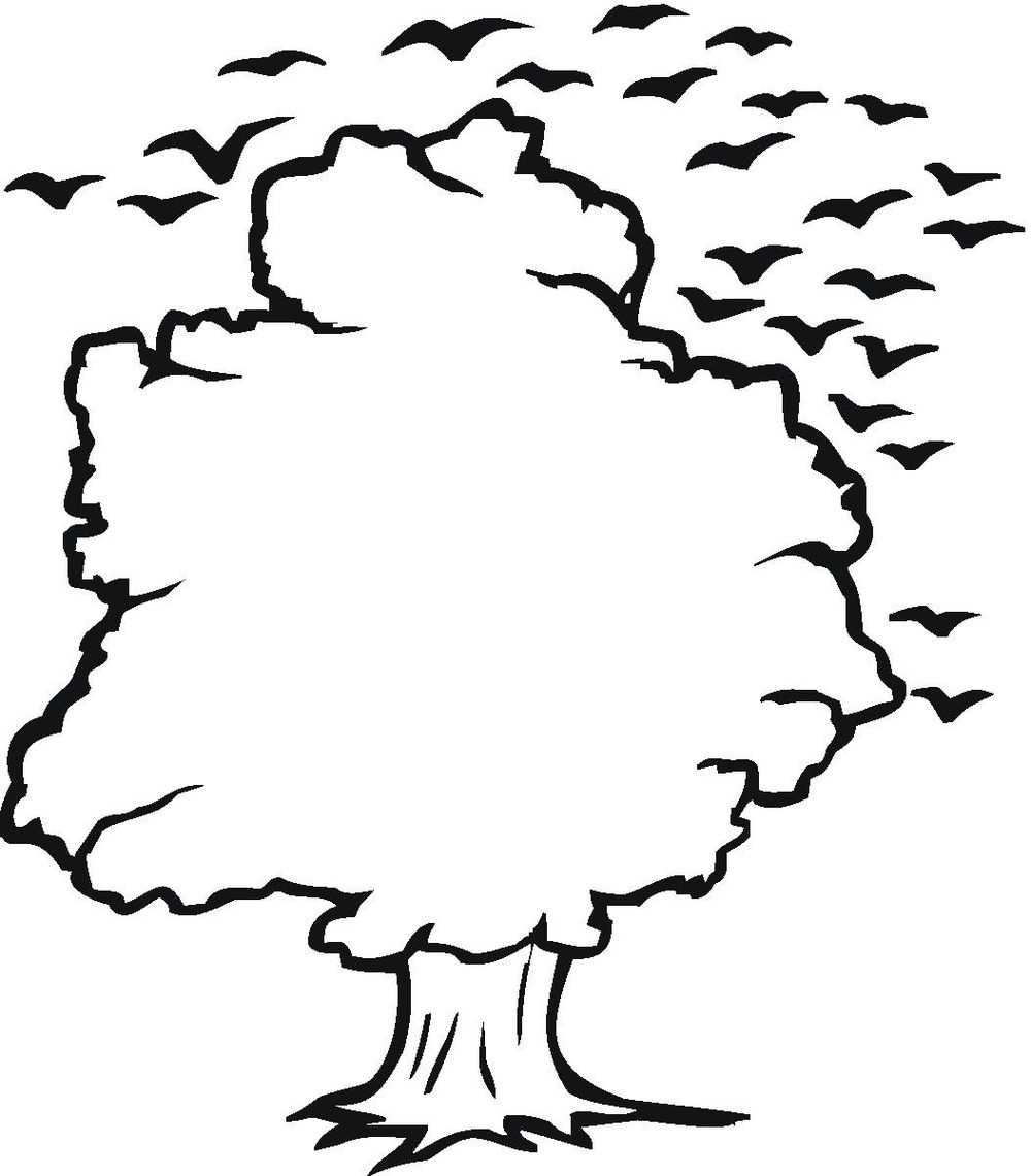 1000x1140 Tree Outline Clip Art Many Interesting Cliparts