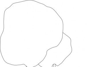 304x233 Tree Outline Clip Art Free Vectors Ui Download
