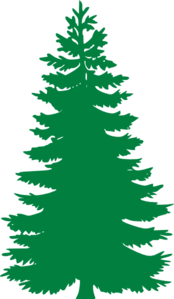 174x299 Pine Tree Clip Art