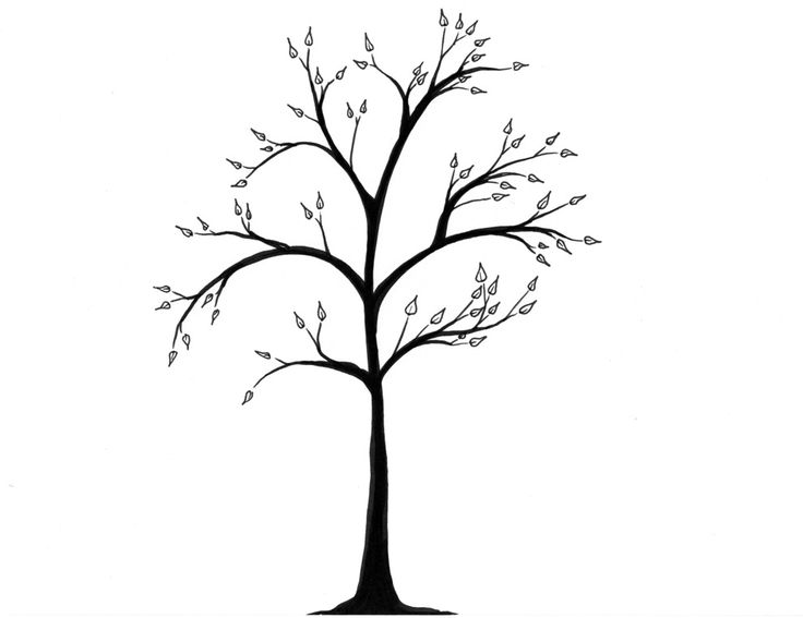 Tree Drawing Outline