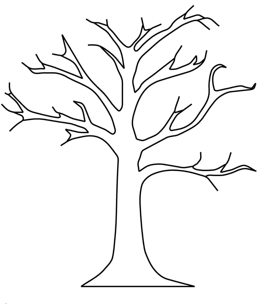 868x1024 Outline Drawing Of A Tree