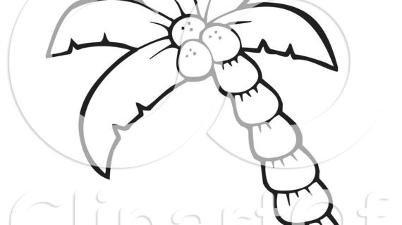 570x320 Palm Tree Drawing Outline Royalty Free (Rf) Clipart Illustration