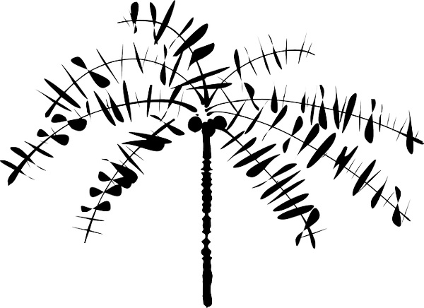 600x436 Palm Tree Drawing Outline Pictures Reference