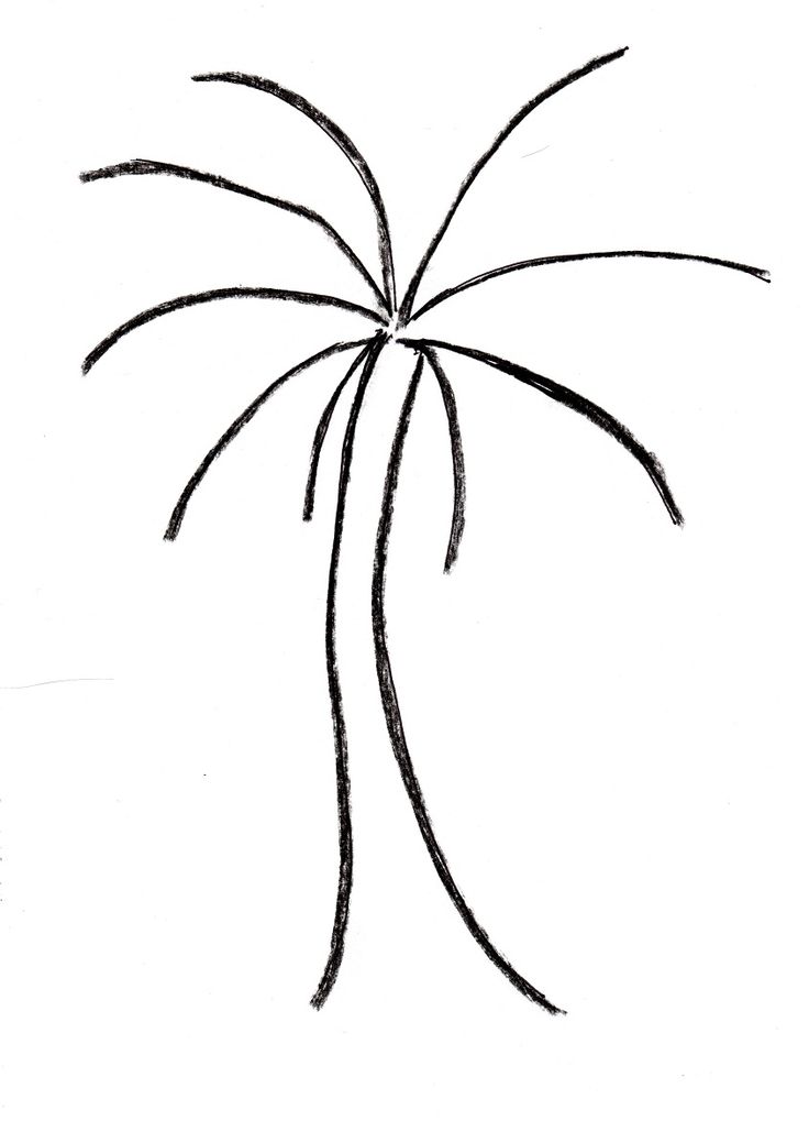 736x1019 Best Palm Tree Outline Ideas Paper Palm Tree