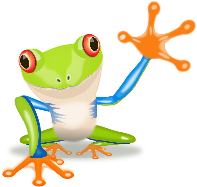 759x720 Tree Frog Clipart Amphibian