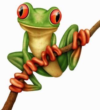 325x356 Tree Frog Clipart Funny Frog