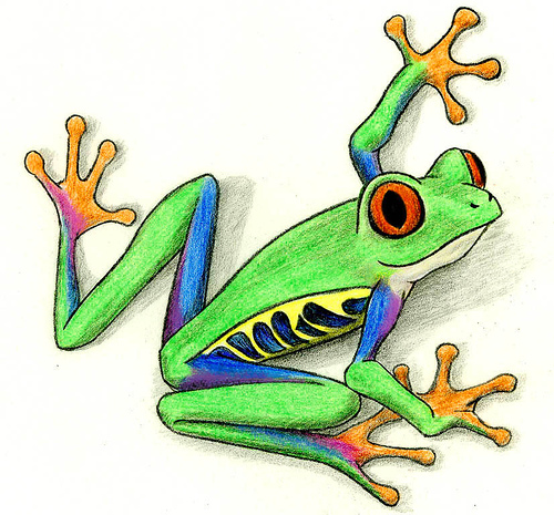 500x465 Best Tree Frog Clipart