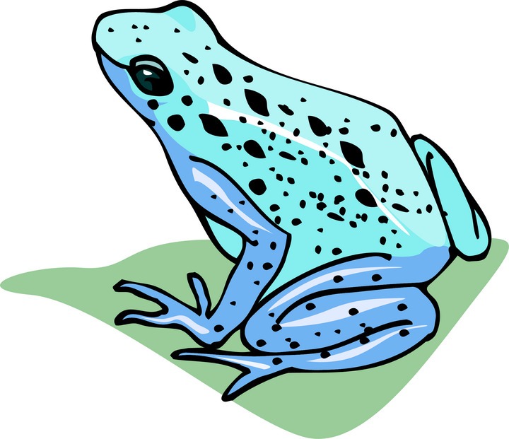720x621 Blue Tree Frog Clip Art