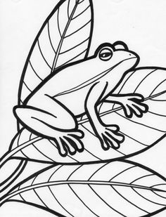 236x309 Free Printable Coloring Page Frog Pages Amphibians Gt Frog Tattoo