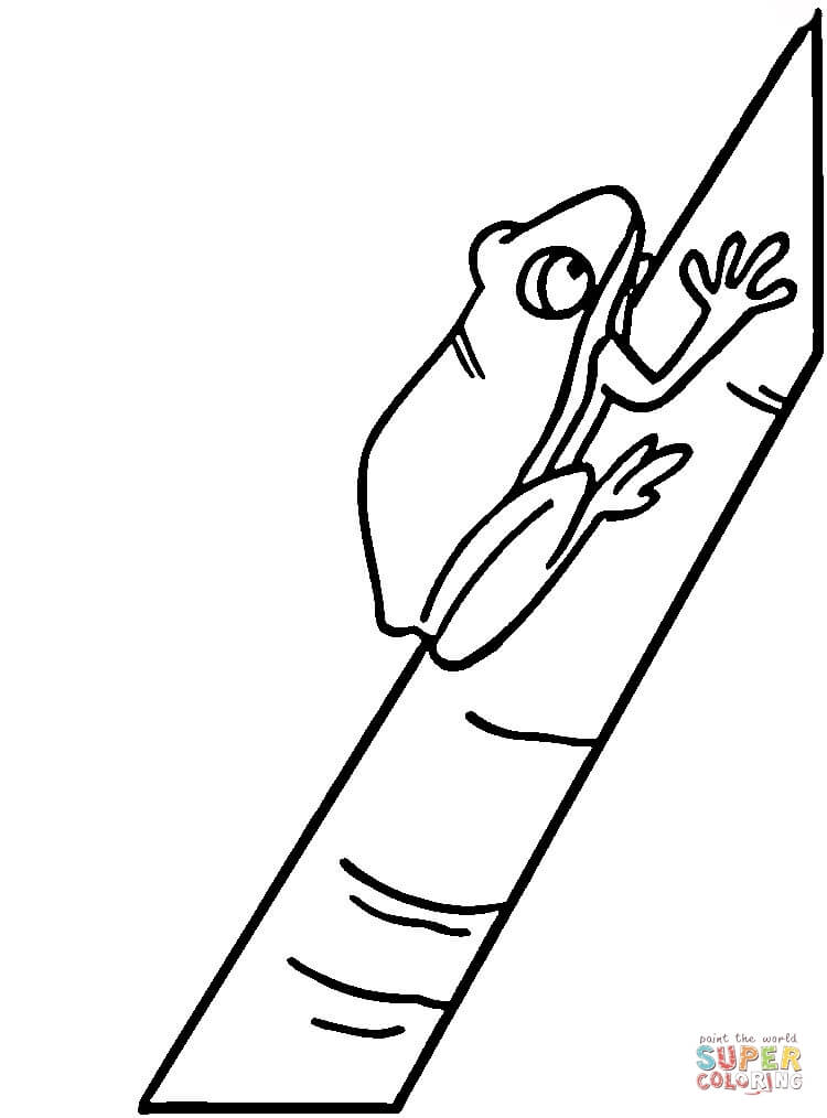 750x1014 Tree Frog Coloring Page Free Printable Coloring Pages