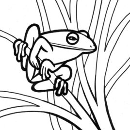 268x268 Coloring Page Tree Frog Kids Drawing And Coloring Pages