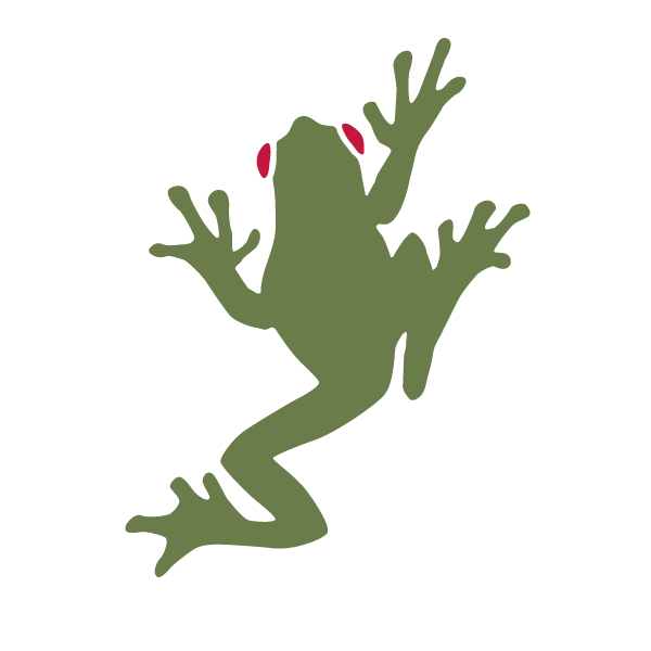 600x600 Frog Wall Stickers My Wonderful Walls