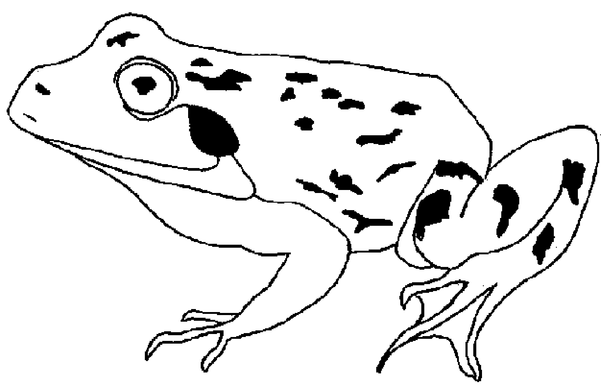 2000x1284 Print Amp Download