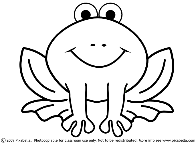 685x510 Black And White Frog Collection