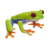 170x154 Frog On Branch Clip Art Cliparts