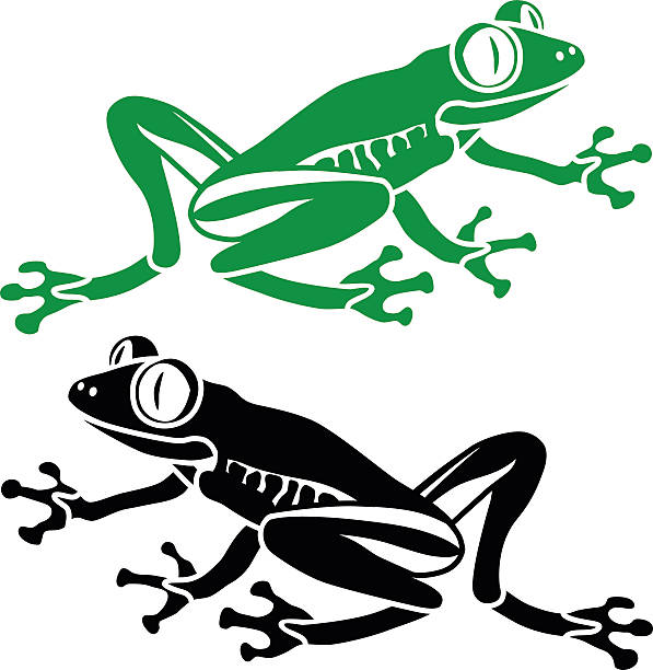597x612 Tree Frog Clipart Rainforest Habitat