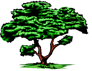 307x235 Oak Trees Clipart Free Clipart Images 2 Image