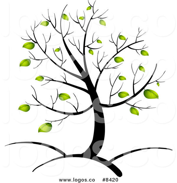 600x620 Free Tree Logo Clip Art