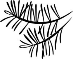 250x201 Pine Tree Branch Clipart