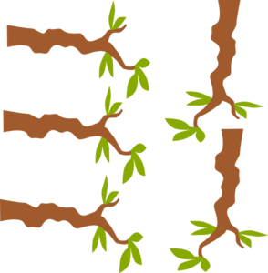 294x300 Tree Branch Clip Art