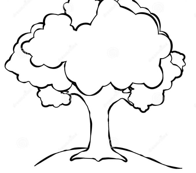 Tree Outline | Free download on ClipArtMag