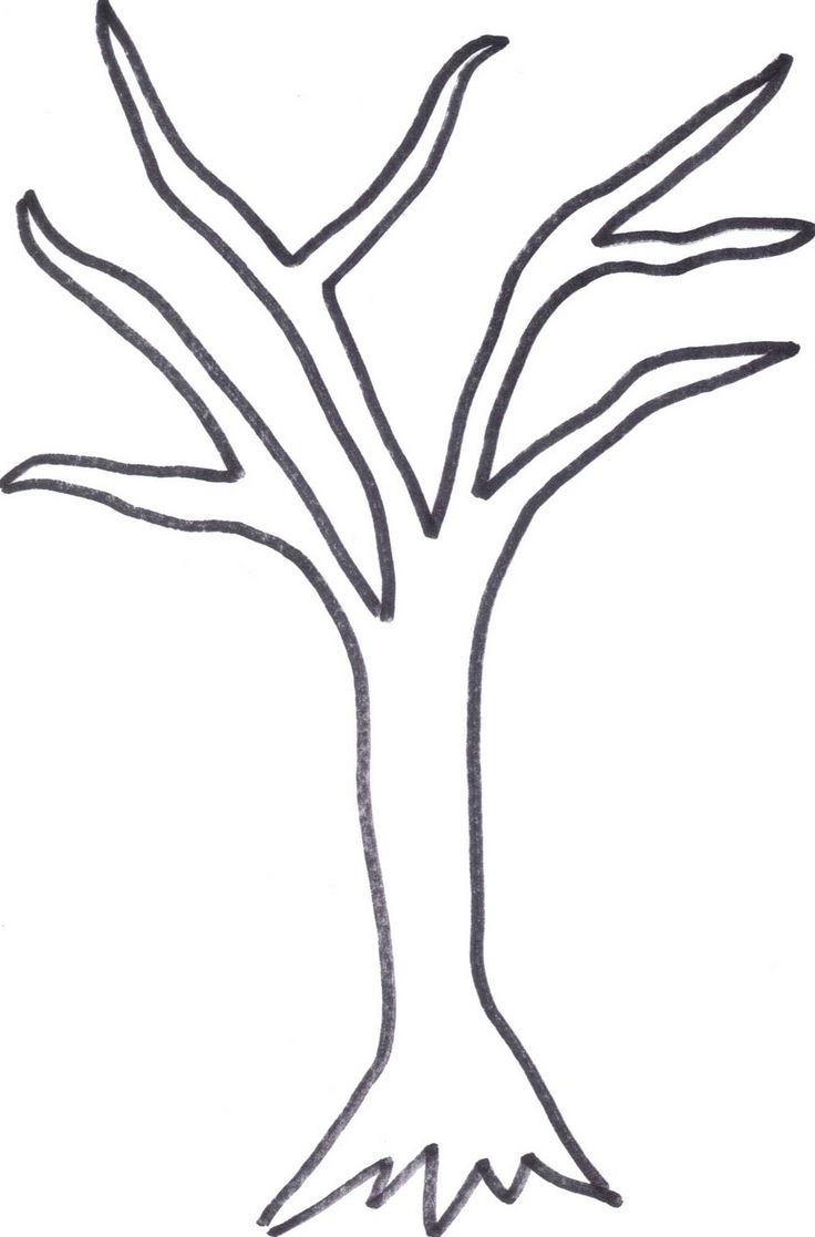 736x1117 Simple Tree Trunk Outline Clipart