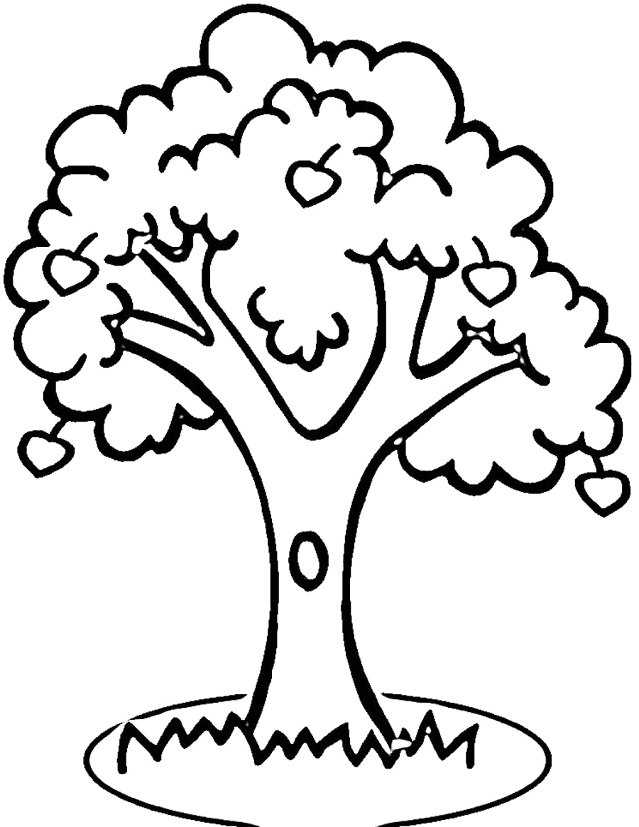 900x1165 To Download Outline Of Tree 35 For For Kids With Outline Of Tree