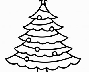 311x250 Family Tree Outline