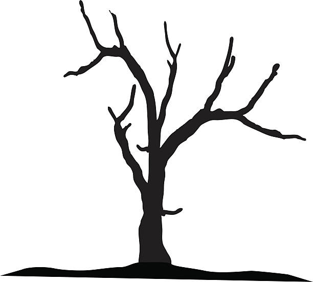 612x550 Dead Tree Outline Clipart