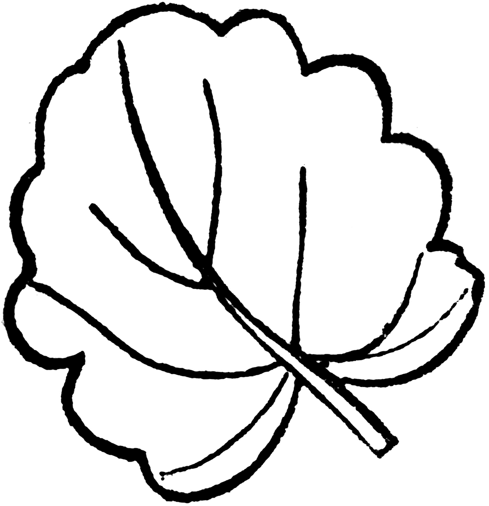 990x1024 Leaf Outline Clipart