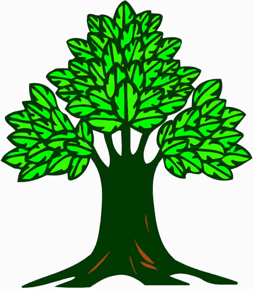 870x987 My Family Tree The New Family History