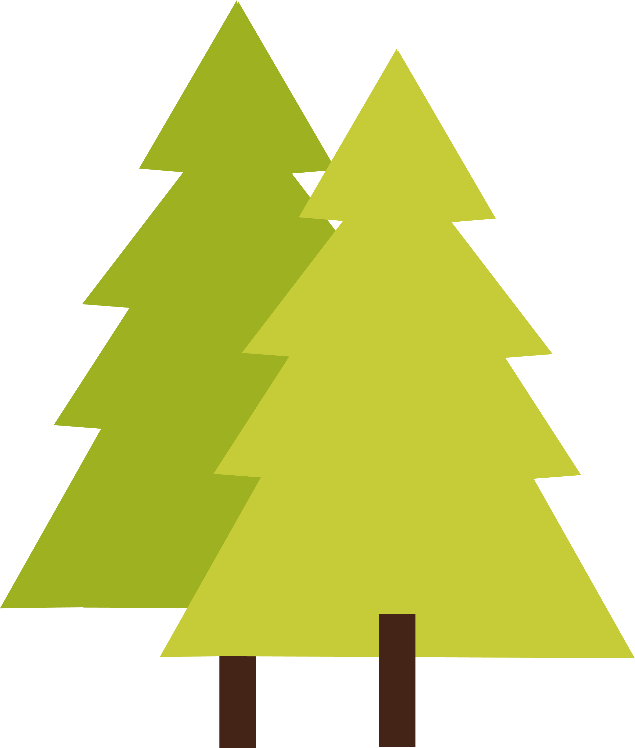 2511x2960 Tree Png Images Quality Transparent Pictures Png Only