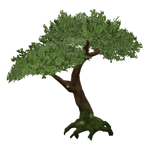 512x512 Tree Png Images Transparent Free Download