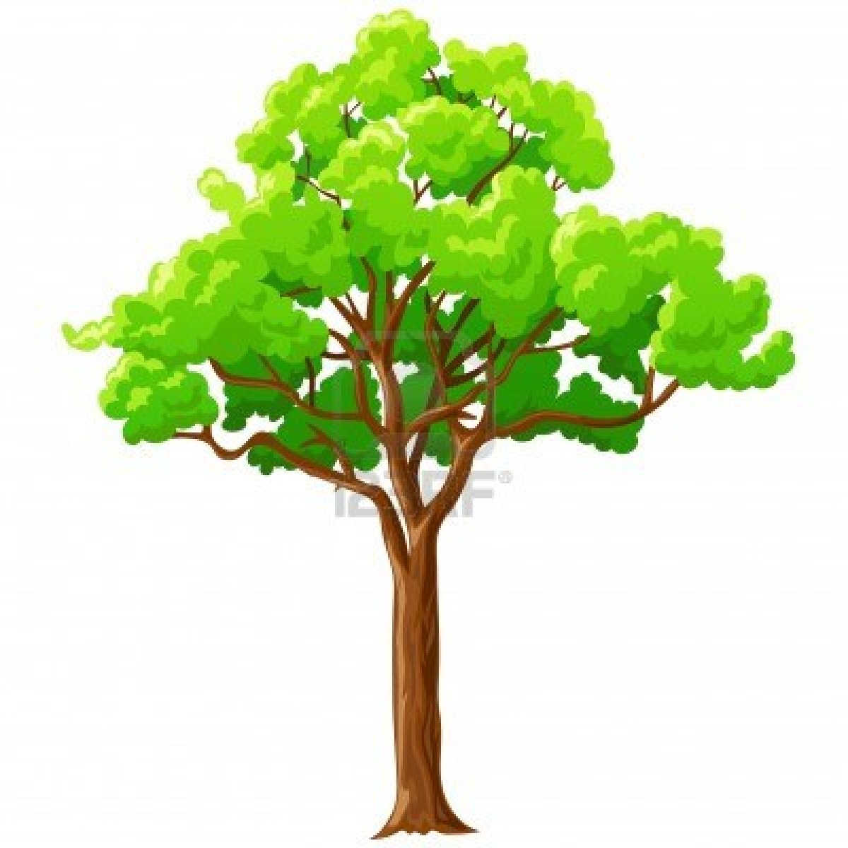 1200x1200 Tree Clipart Wallpaper