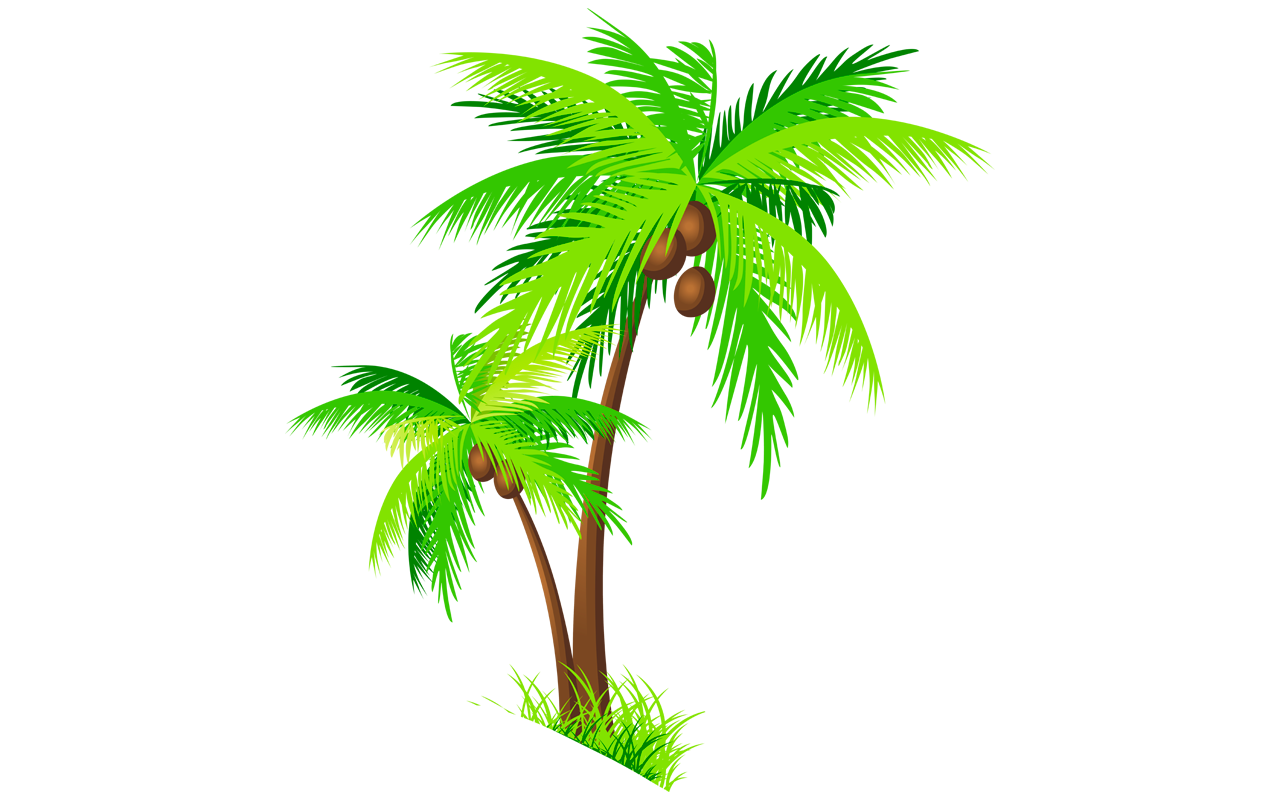 1280x800 Coconut Tree Clipart