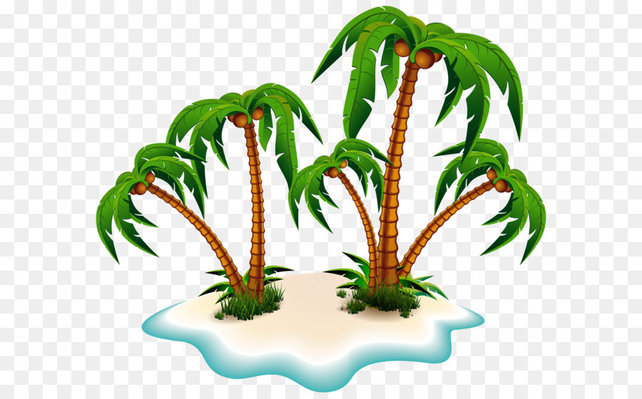 900x560 Arecaceae Tree Clip Art