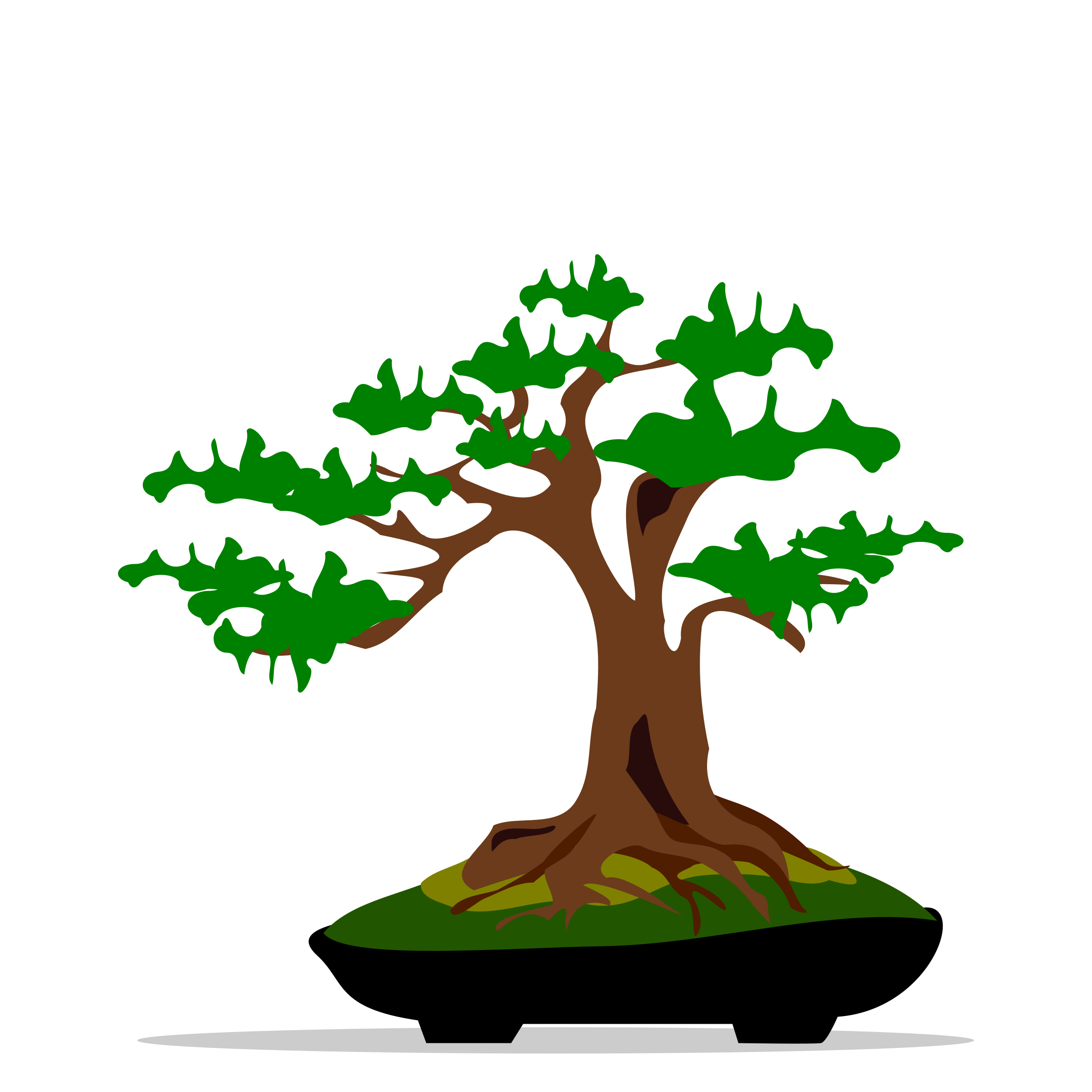 2400x2400 Japanese Bonsai Tree Clipart