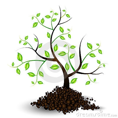 400x400 Young Tree Clip Art Cliparts