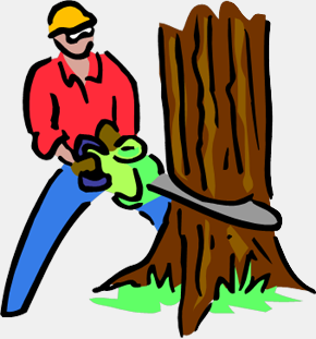 290x311 Clipart Removal Tree