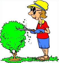 208x223 Tree Trimming Clip Art Cliparts