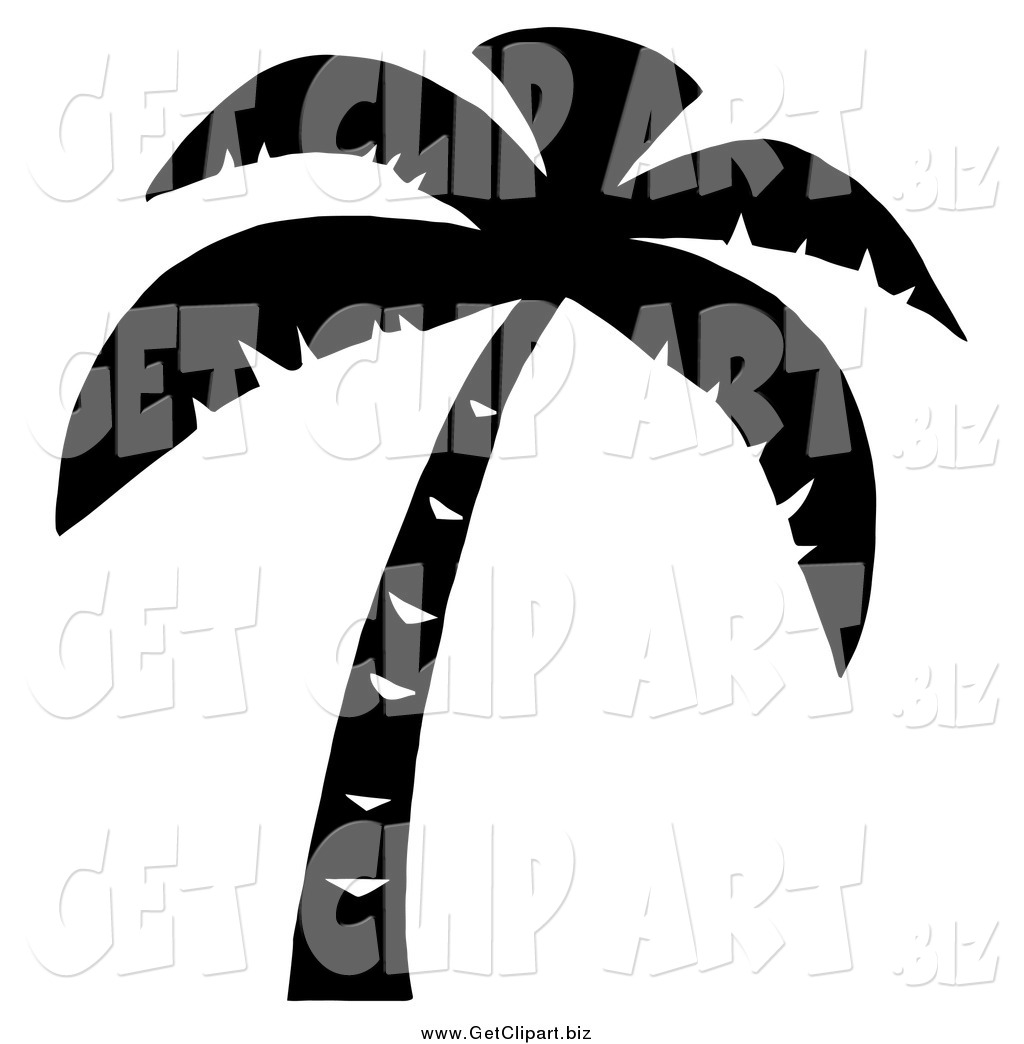 1024x1044 Clip Art Of A Palm Tree Silhouette By Hit Toon