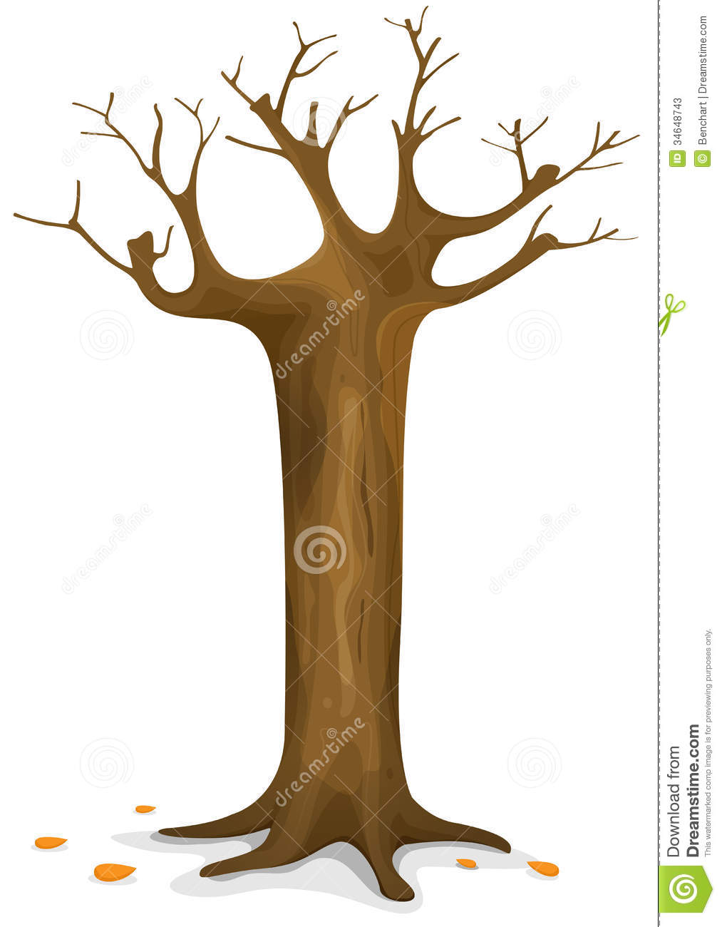 1013x1300 Bare Tree Trunk Clipart