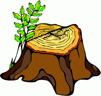 332x316 Cut Down Tree Trunk Clipart