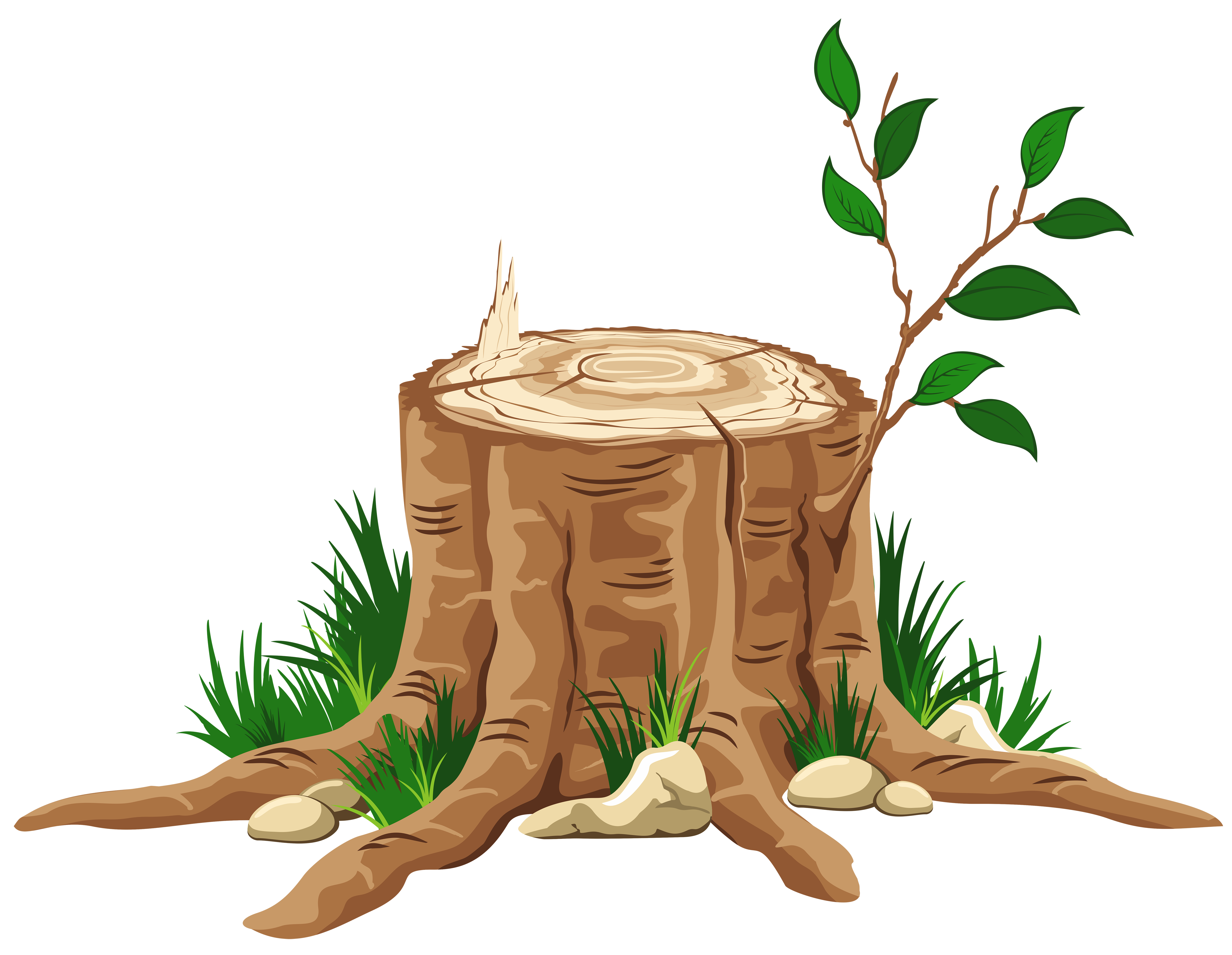 5000x3879 Cut Tree Trunk Clipart Clipartfest Down