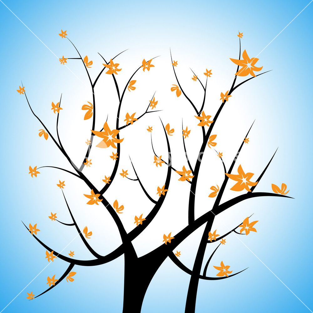 1000x1000 Nature Glow Meaning Tree Trunk And Green Royalty Free Stock Image