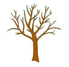 229x222 Tree Trunk And Branches Clipart
