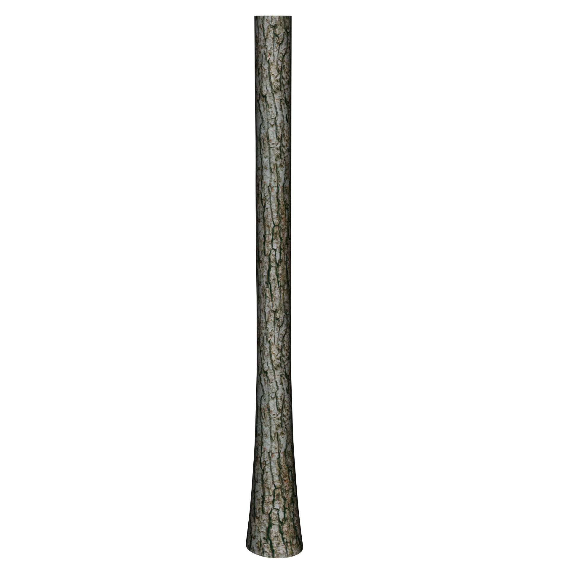 1920x1920 Tree Trunk Free Stock Photo