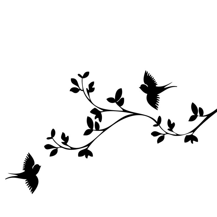 736x736 Bird Silhouette Clip Art Many Interesting Cliparts